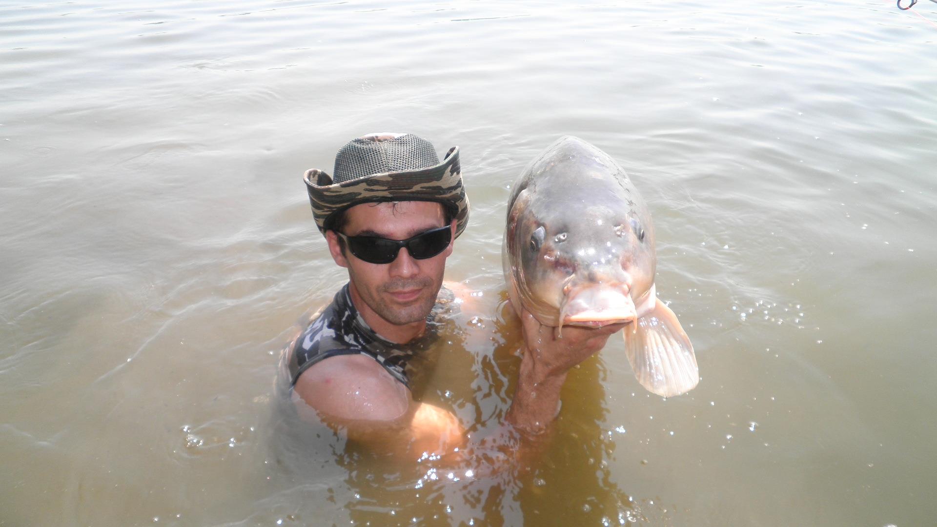 Best Off - p7100134.JPG